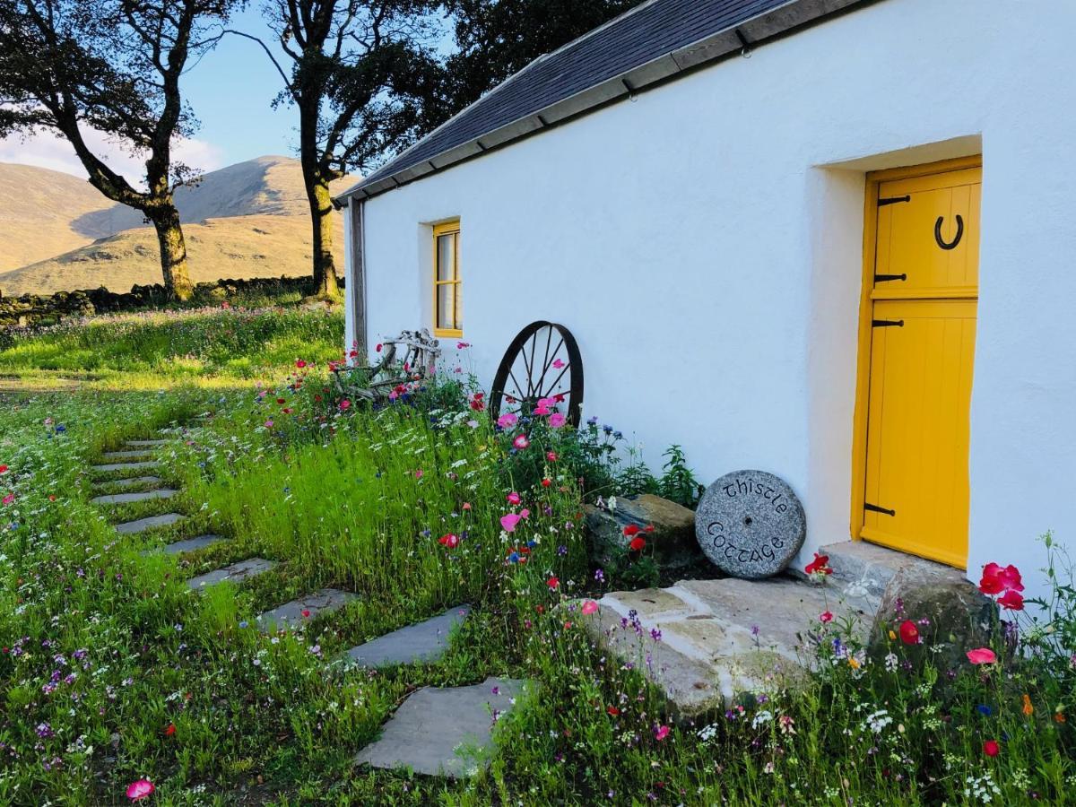 Thistle Thatch Cottage And Hot Tub - Mourne Mountains Newcastle  Ngoại thất bức ảnh